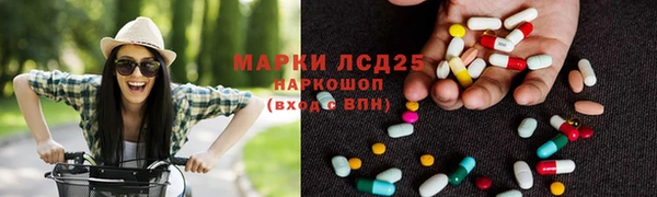 дмт Осташков