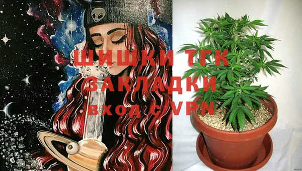 PSILOCYBIN Осинники