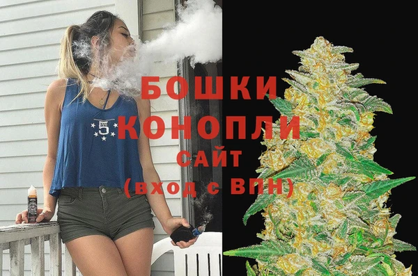 PSILOCYBIN Осинники