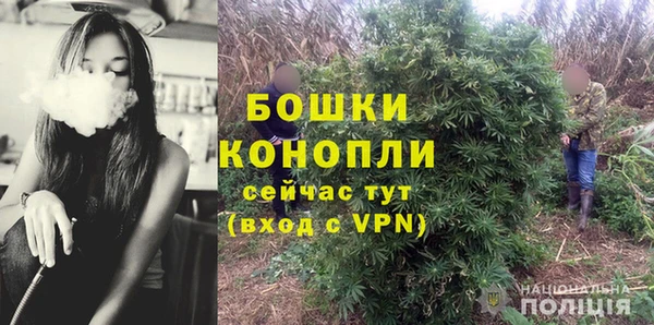 PSILOCYBIN Осинники