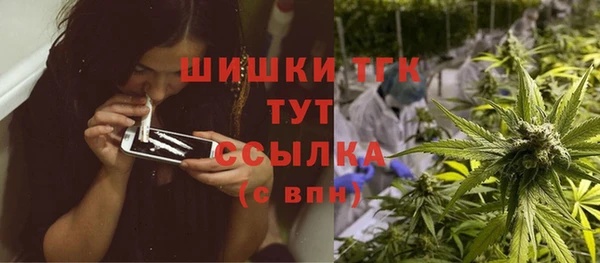 PSILOCYBIN Осинники