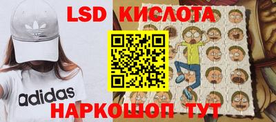 стафф Бийск