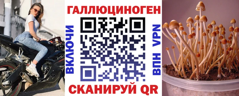 Галлюциногенные грибы Psilocybe  Краснознаменск 