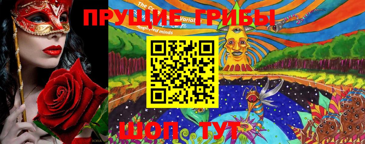 Краснознаменск  купить   Вход с VPN  Псилоцибиновые грибы MAGIC MUSHROOMS 