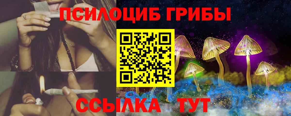 Галлюциногенные грибы GOLDEN TEACHER Краснознаменск