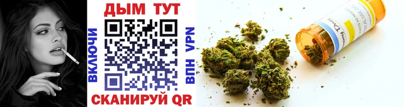 где купить   Краснознаменск  Бошки марихуана Ganja 