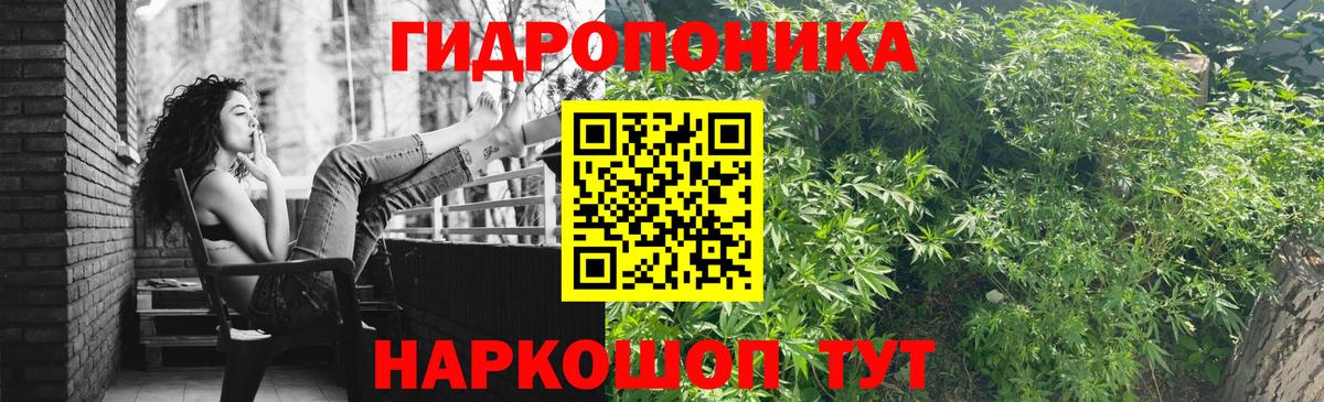 Канабис Amnesia Краснознаменск